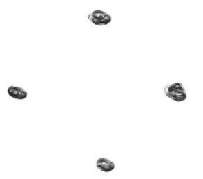 tekening cholericus 2