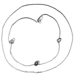 tekening cholericus 3