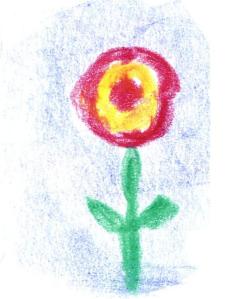 tekening cholericus 7