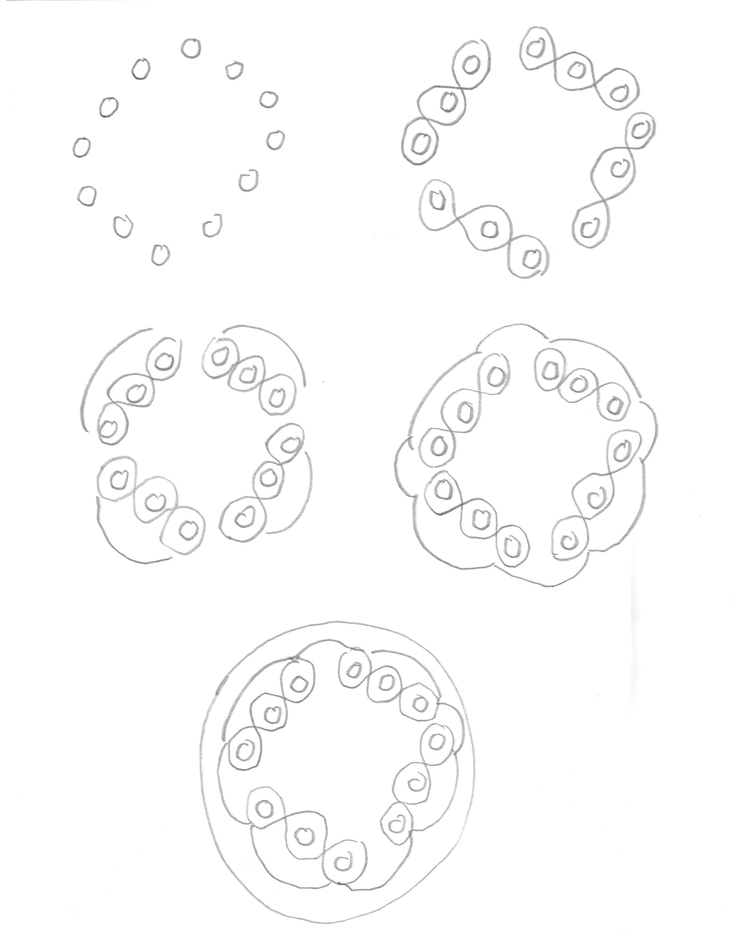 tekening cholericus 8