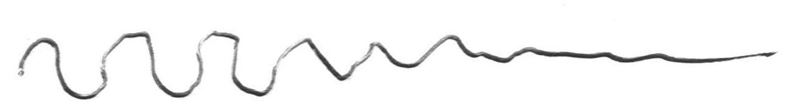 tekening sanguinicus4