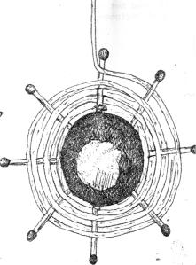 Michaël herfstknutsel 4