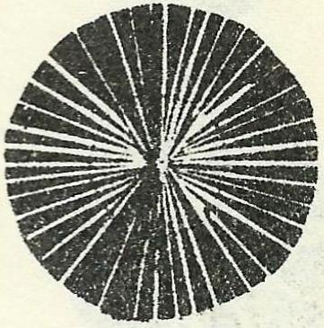 kerst knutselen 12 6