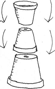 driekoningen bloempot 1