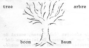 niet Nederlandse talen