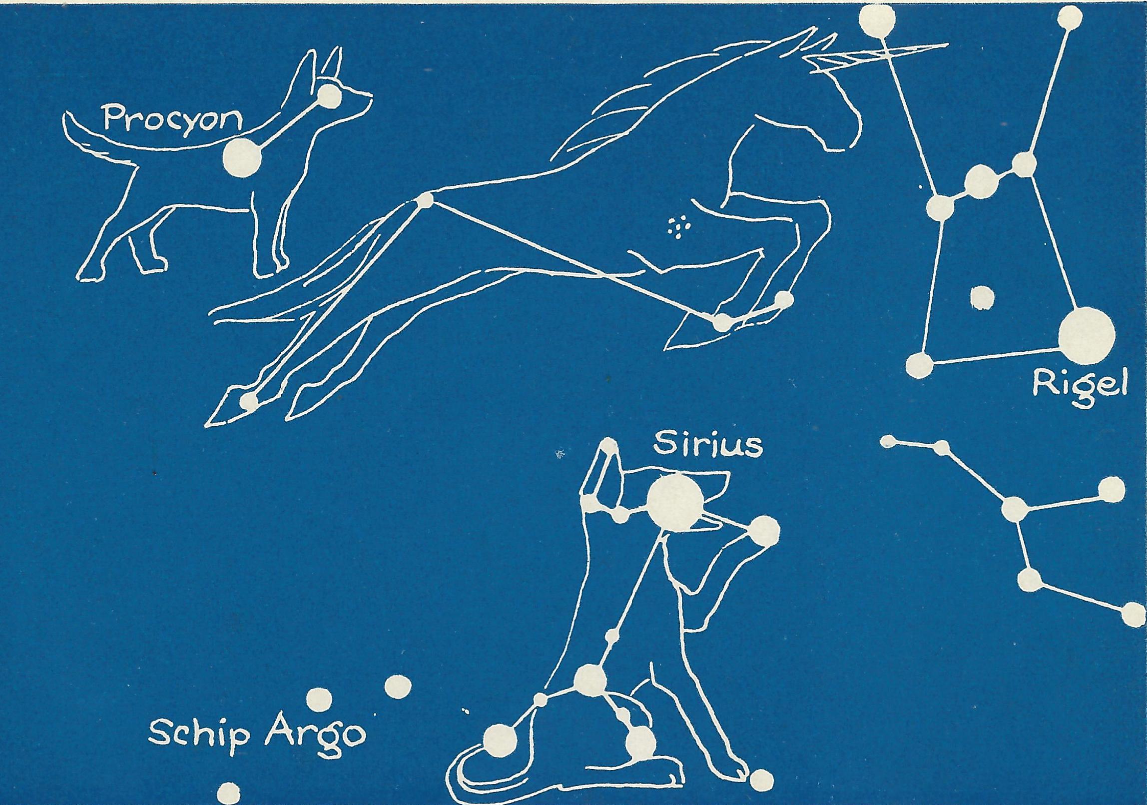 kleine hond, eenhoorn, grote hond