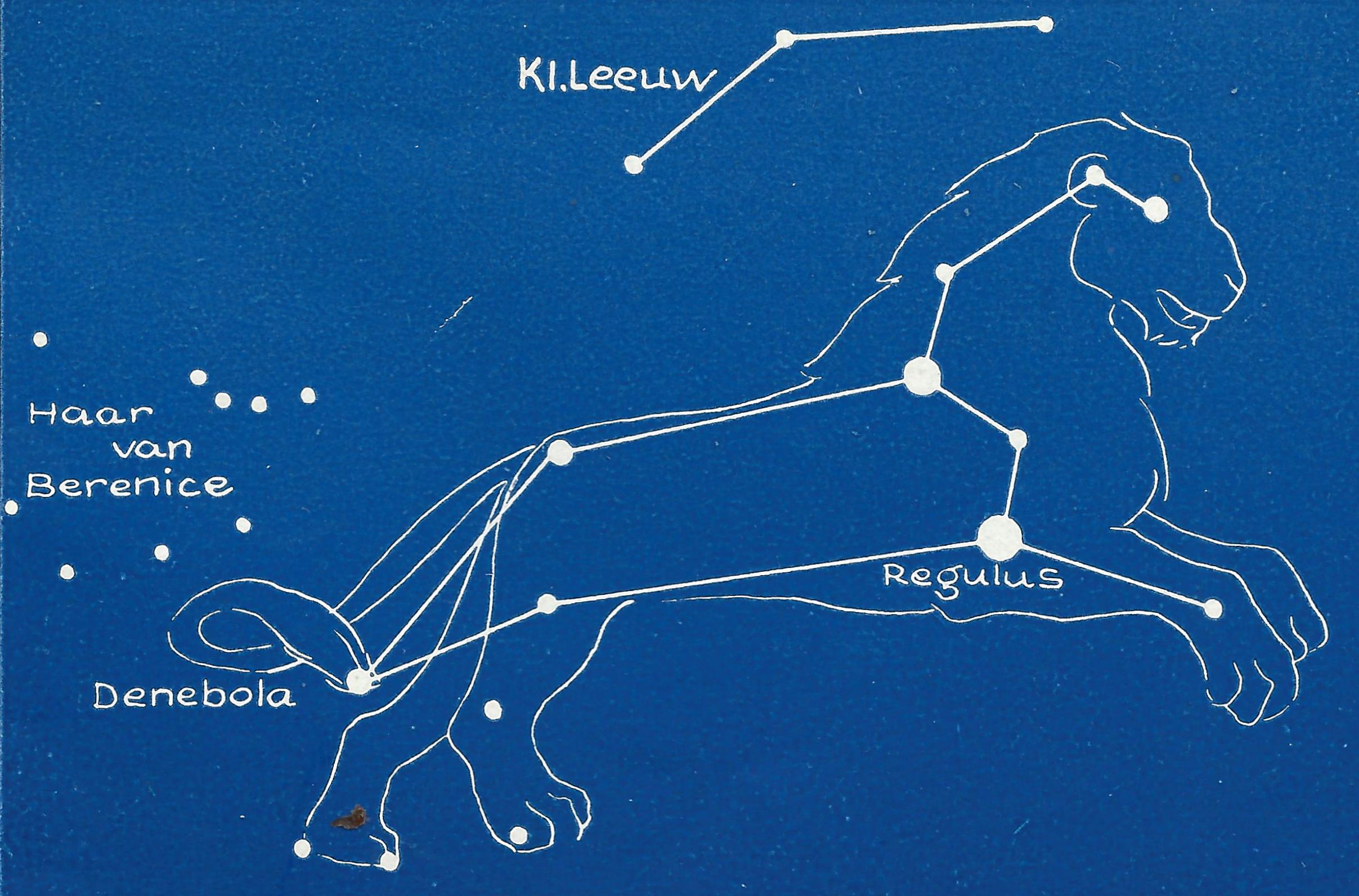leeuw, haar van Berenice
