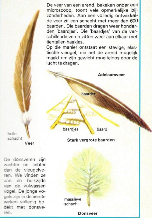 arend 16 - 0015 - 0016