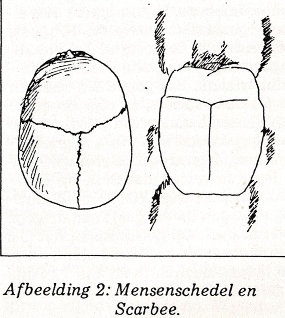 Deze afbeelding heeft een leeg alt-atribuut; de bestandsnaam is egypte-3.jpg